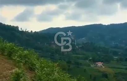 TURİZM ALTYAPISI HAZIR İÇİNDE KAYNAK SUYU BULUNAN SATILIK ÇAY BAHÇESİ