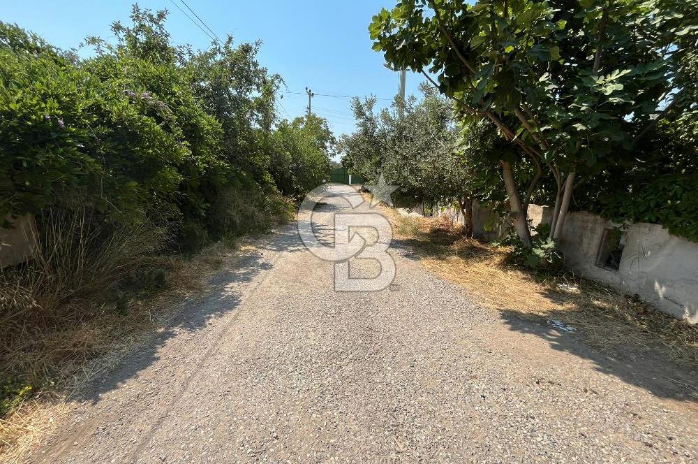 Urla Torasan Mahallesi 328 m2 Arsa İçerisinde Müstakil Ev