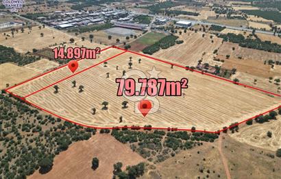 SANAYİ BÖLGESİNİN DİBİNDE 85.684 m² YATIRIM DEĞERİ YÜKSEK TARLA!