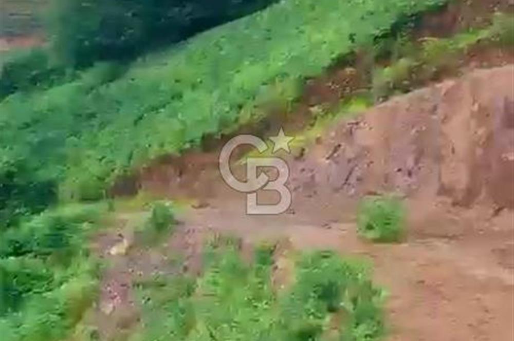 TURİZM ALTYAPISI HAZIR İÇİNDE KAYNAK SUYU BULUNAN SATILIK ÇAY BAHÇESİ