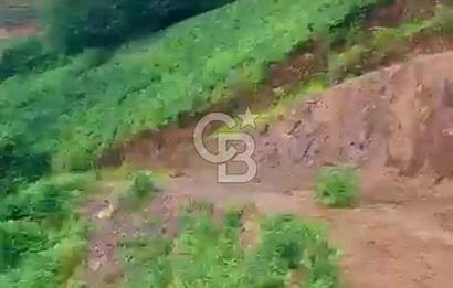 TURİZM ALTYAPISI HAZIR İÇİNDE KAYNAK SUYU BULUNAN SATILIK ÇAY BAHÇESİ