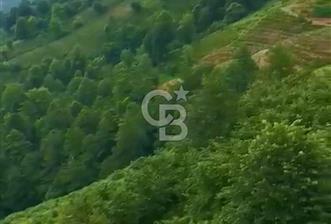 TURİZM ALTYAPISI HAZIR İÇİNDE KAYNAK SUYU BULUNAN SATILIK ÇAY BAHÇESİ