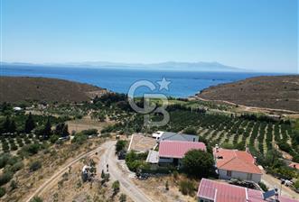 İzmir Karaburun Badembükü Satılık Taş Villa Doğa Harikası