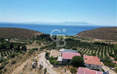 İzmir Karaburun Badembükü Satılık Taş Villa Doğa Harikası