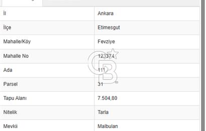 ETİMESGUT FEVZİYE MAH. KÖK TAPU 7.504 M2 SATILIK TARLA