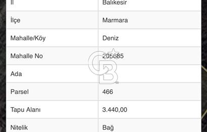 Balıkesir deniz Mahallesi’nde satılık bağ