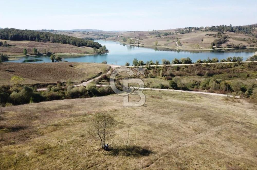 Kocaeli İzmit Güvercinlik'te 56 Dönümlük Göl Manzaralı Arazi