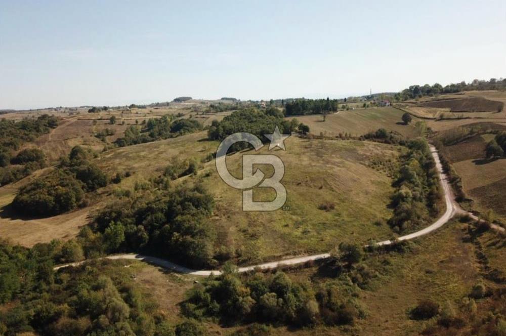 Kocaeli İzmit Güvercinlik'te 56 Dönümlük Göl Manzaralı Arazi