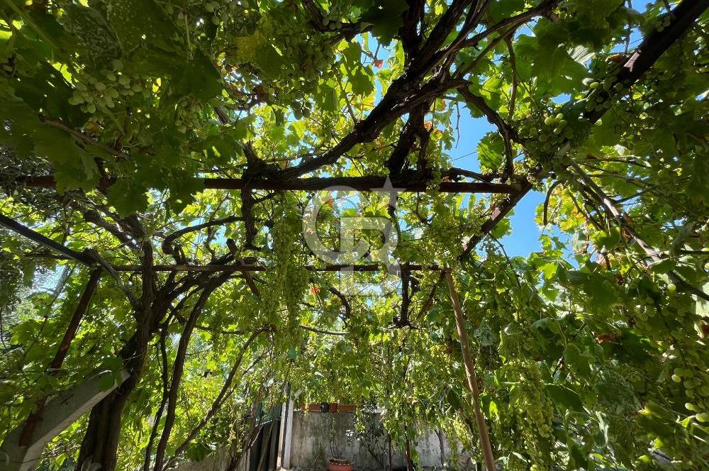 Urla Torasan Mahallesi 328 m2 Arsa İçerisinde Müstakil Ev