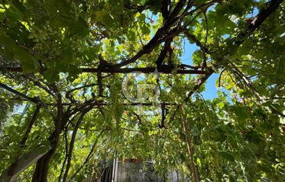 Urla Torasan Mahallesi 328 m2 Arsa İçerisinde Müstakil Ev