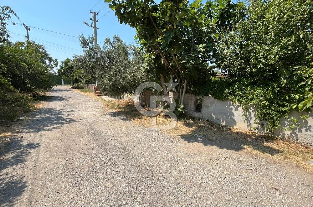 Urla Torasan Mahallesi 328 m2 Arsa İçerisinde Müstakil Ev
