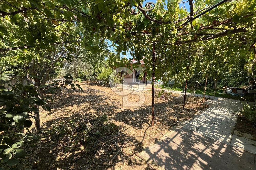 Urla Torasan Mahallesi 328 m2 Arsa İçerisinde Müstakil Ev