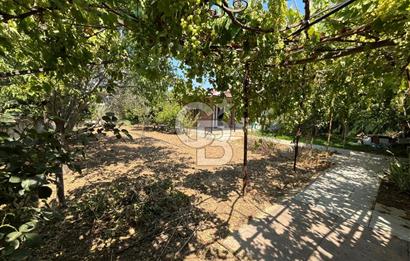 Urla Torasan Mahallesi 328 m2 Arsa İçerisinde Müstakil Ev