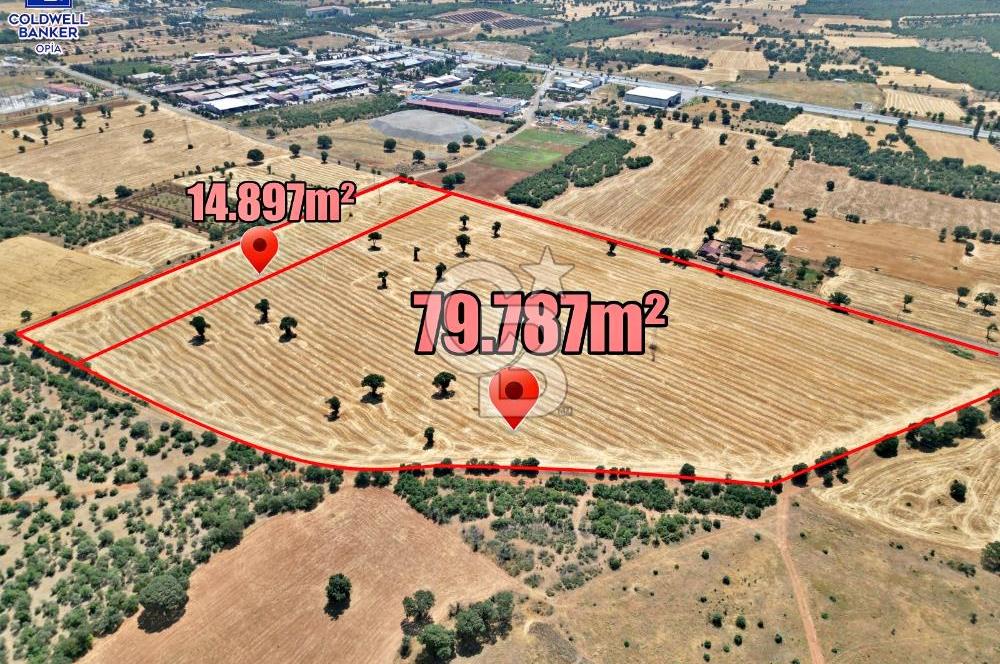 SANAYİ BÖLGESİNİN DİBİNDE 85.684 m² YATIRIM DEĞERİ YÜKSEK TARLA!