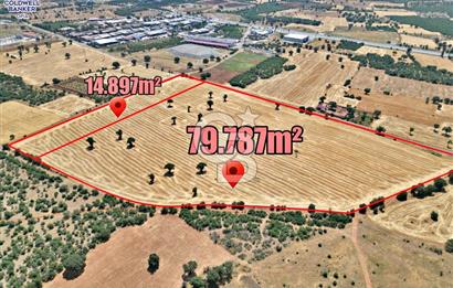 SANAYİ BÖLGESİNİN DİBİNDE 85.684 m² YATIRIM DEĞERİ YÜKSEK TARLA!