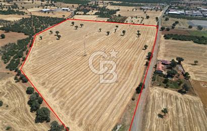 SANAYİ BÖLGESİNİN DİBİNDE 85.684 m² YATIRIM DEĞERİ YÜKSEK TARLA!