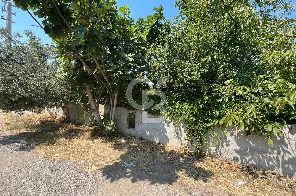 Urla Torasan Mahallesi 328 m2 Arsa İçerisinde Müstakil Ev
