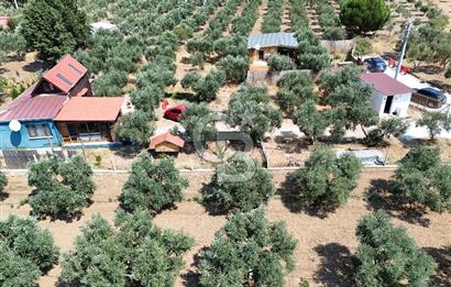  TORBALI ARSLANLAR'DA AHŞAP EV'Lİ 700 M² SATILIK TARLA 