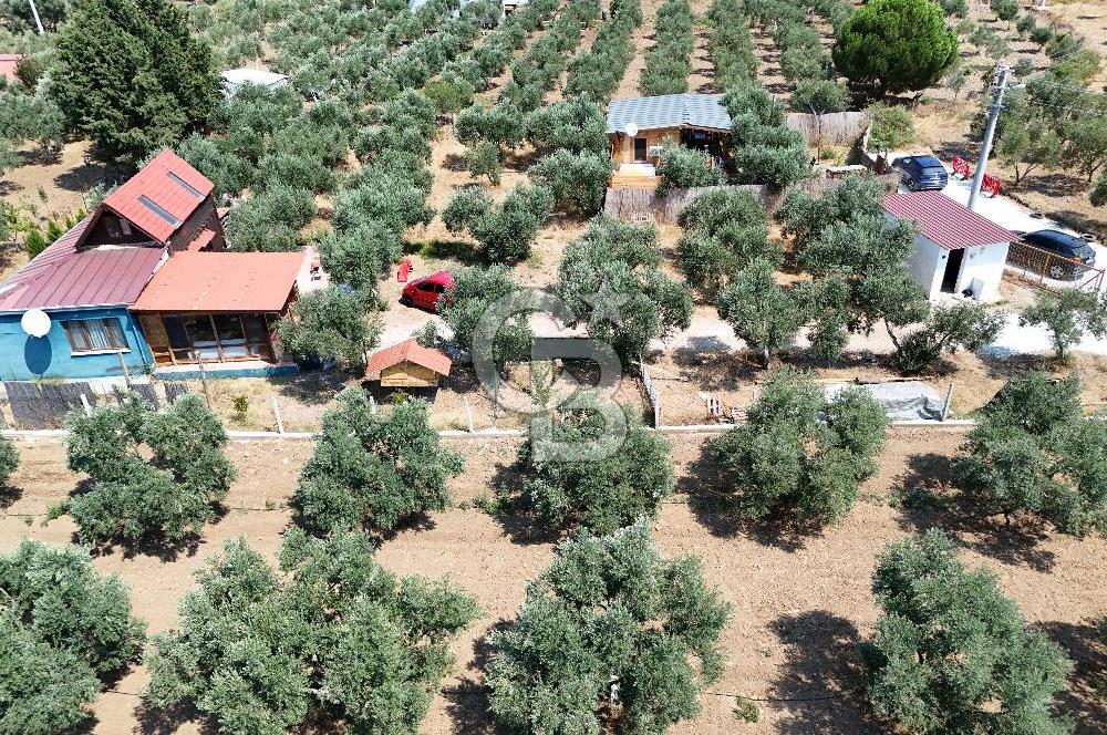  TORBALI ARSLANLAR'DA AHŞAP EV'Lİ 700 M² SATILIK TARLA 