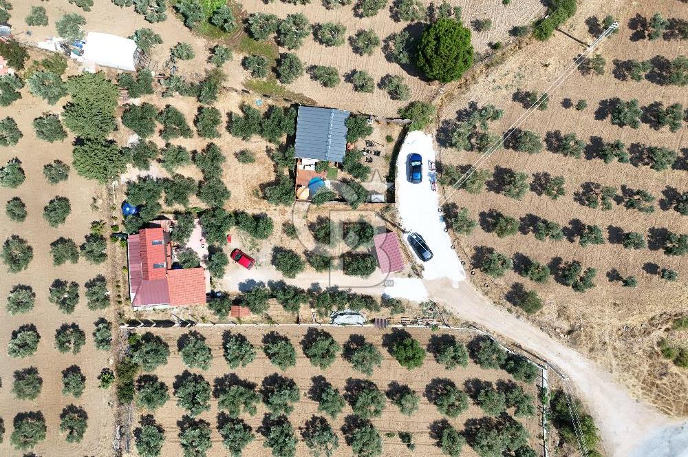  TORBALI ARSLANLAR'DA AHŞAP EV'Lİ 700 M² SATILIK TARLA 
