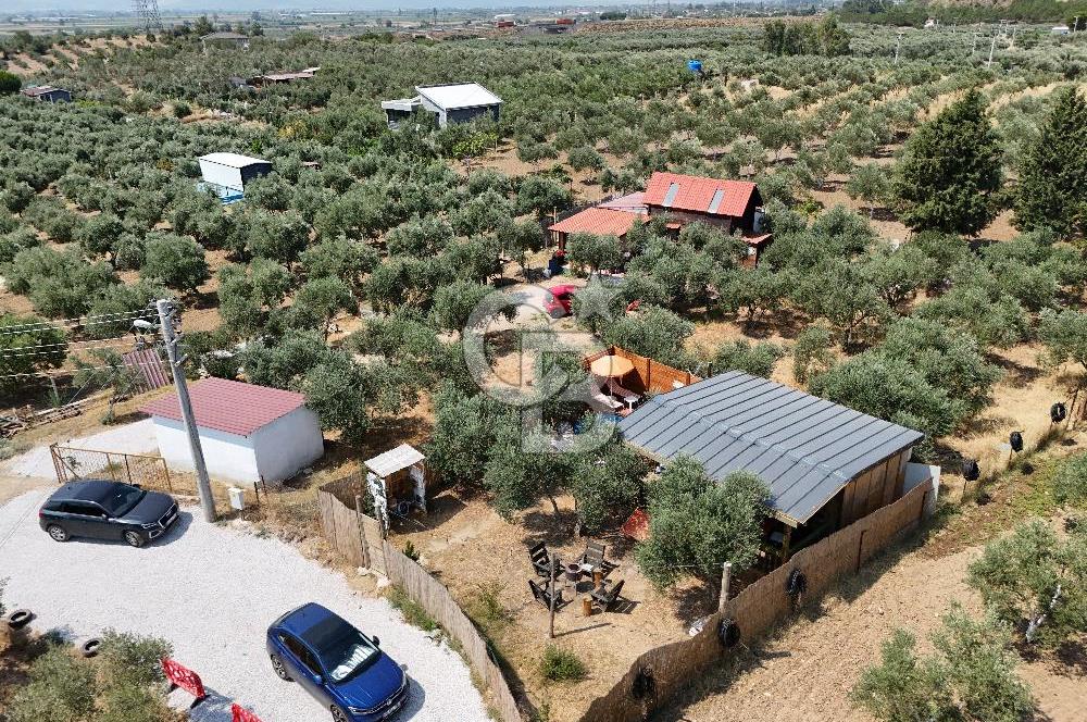  TORBALI ARSLANLAR'DA AHŞAP EV'Lİ 700 M² SATILIK TARLA 
