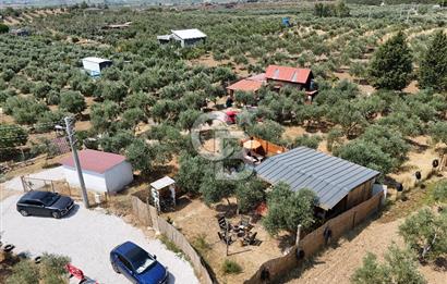  TORBALI ARSLANLAR'DA AHŞAP EV'Lİ 700 M² SATILIK TARLA 