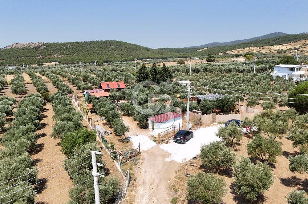  TORBALI ARSLANLAR'DA AHŞAP EV'Lİ 700 M² SATILIK TARLA 