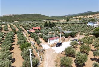  TORBALI ARSLANLAR'DA AHŞAP EV'Lİ 700 M² SATILIK TARLA 