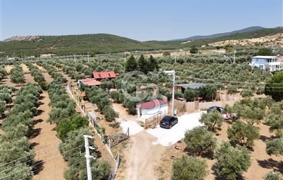  TORBALI ARSLANLAR'DA AHŞAP EV'Lİ 700 M² SATILIK TARLA 