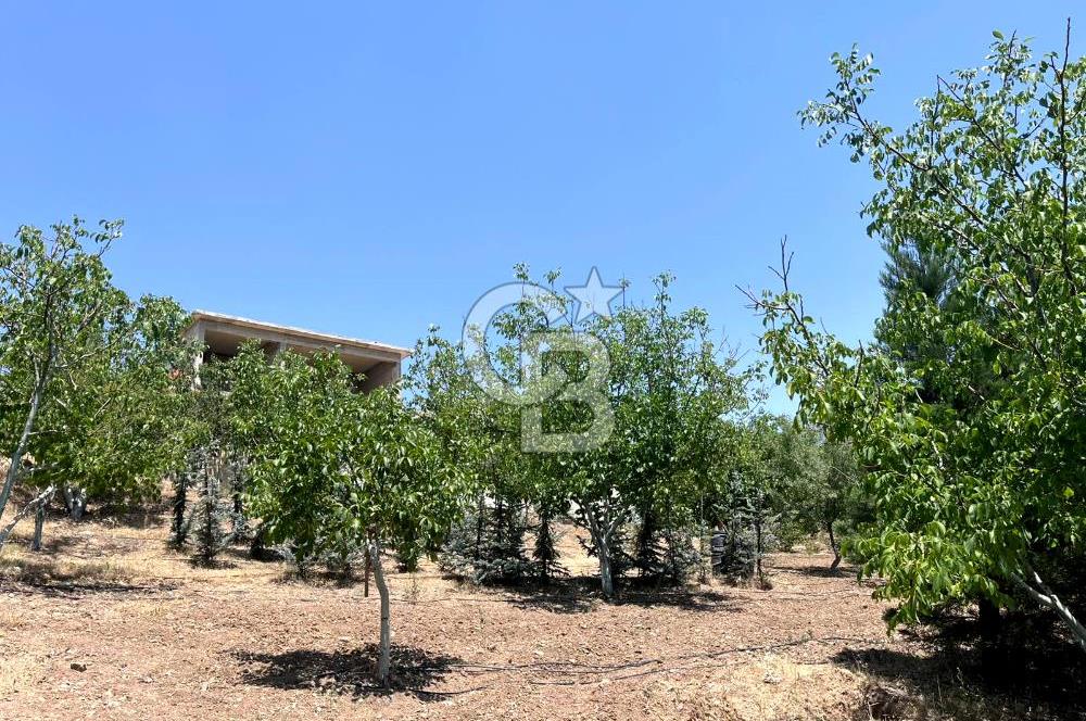 Pursaklar Yeşilyurt'ta 18.198 m2 Müstakil Tapulu Çiftlik
