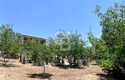 Pursaklar Yeşilyurt'ta 18.198 m2 Müstakil Tapulu Çiftlik