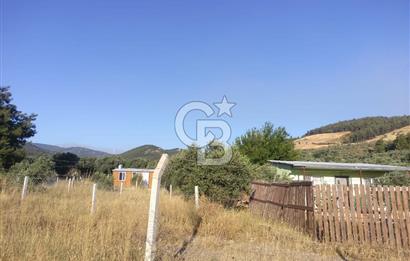 KARAKIZLARDA 309 M2 HOBİ BAHÇESİ ZEYTİNLİK TAPULU
