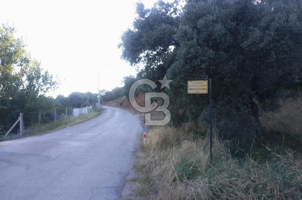 KARAKIZLARDA 309 M2 HOBİ BAHÇESİ ZEYTİNLİK TAPULU