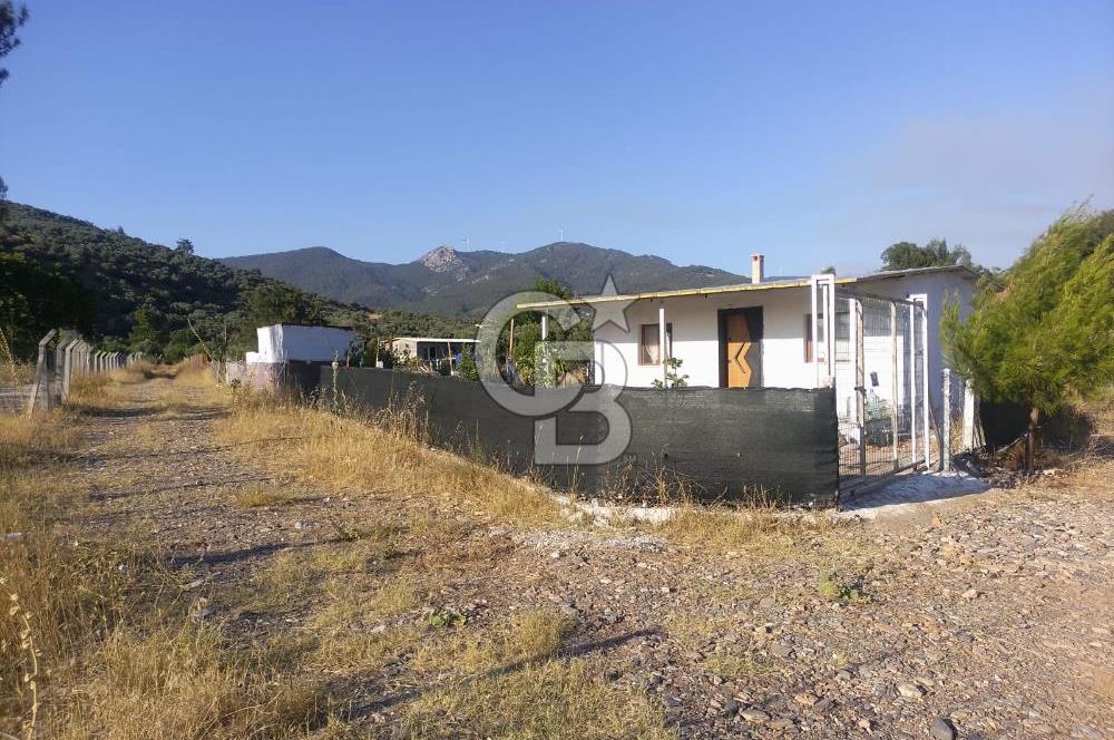 KARAKIZLARDA 309 M2 HOBİ BAHÇESİ ZEYTİNLİK TAPULU