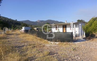 KARAKIZLARDA 309 M2 HOBİ BAHÇESİ ZEYTİNLİK TAPULU