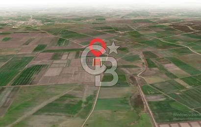 ÇANAKKALE BİGA YENİÇİFTLİK KÖYÜNDE SATILIK ARAZİ