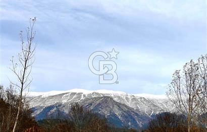 BURSA KÜÇÜK DELİLLER KÖYÜ’NDE MÜSTAKİL DOĞA EVİ
