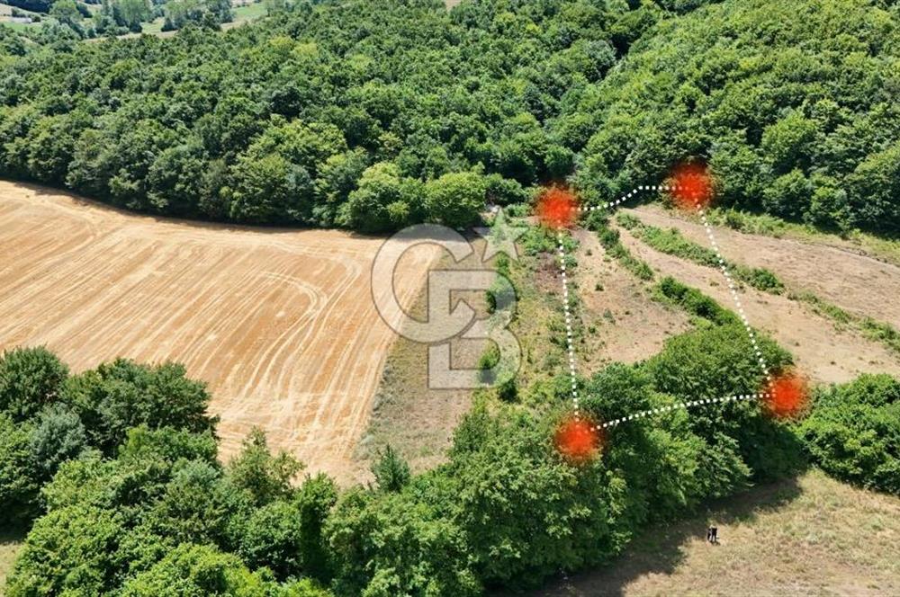 CBTAN-KOCAELİ/DERİNCE/KARAGÖLLÜ RESMİ YOLLU 1869M2 FIRSAT ARAZİ