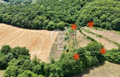 CBTAN-KOCAELİ/DERİNCE/KARAGÖLLÜ RESMİ YOLLU 1869M2 FIRSAT ARAZİ