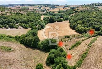 CBTAN-KOCAELİ/DERİNCE/KARAGÖLLÜ RESMİ YOLLU 1869M2 FIRSAT ARAZİ