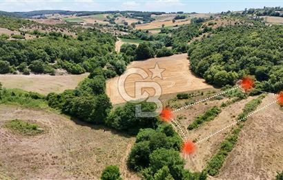 CBTAN-KOCAELİ/DERİNCE/KARAGÖLLÜ RESMİ YOLLU 1869M2 FIRSAT ARAZİ