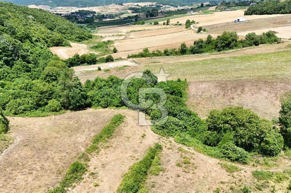 CBTAN-KOCAELİ/DERİNCE/KARAGÖLLÜ RESMİ YOLLU 1869M2 FIRSAT ARAZİ