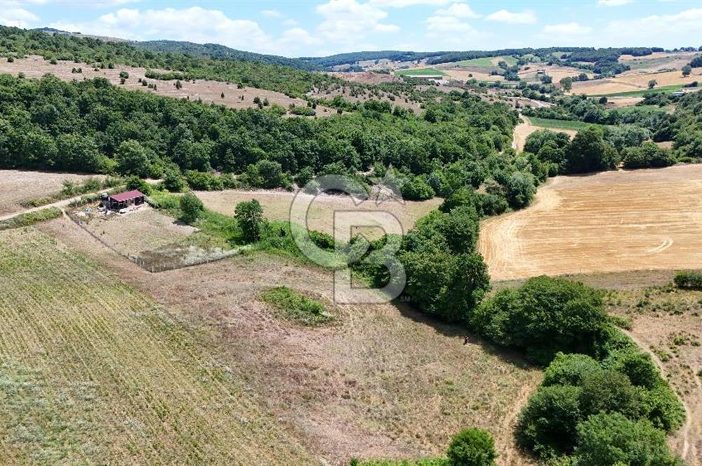 CBTAN-KOCAELİ/DERİNCE/KARAGÖLLÜ RESMİ YOLLU 1869M2 FIRSAT ARAZİ
