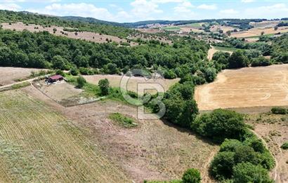 CBTAN-KOCAELİ/DERİNCE/KARAGÖLLÜ RESMİ YOLLU 1869M2 FIRSAT ARAZİ