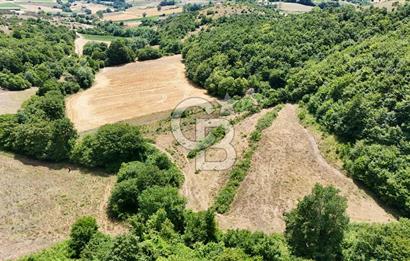 CBTAN-KOCAELİ/DERİNCE/KARAGÖLLÜ RESMİ YOLLU 1869M2 FIRSAT ARAZİ