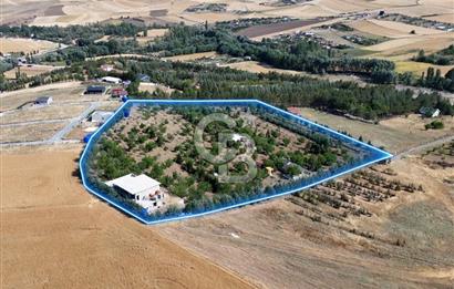 Pursaklar Yeşilyurt'ta 18.198 m2 Müstakil Tapulu Çiftlik