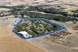 Pursaklar Yeşilyurt'ta 18.198 m2 Müstakil Tapulu Çiftlik