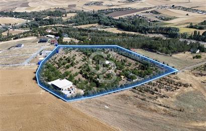 Pursaklar Yeşilyurt'ta 18.198 m2 Müstakil Tapulu Çiftlik