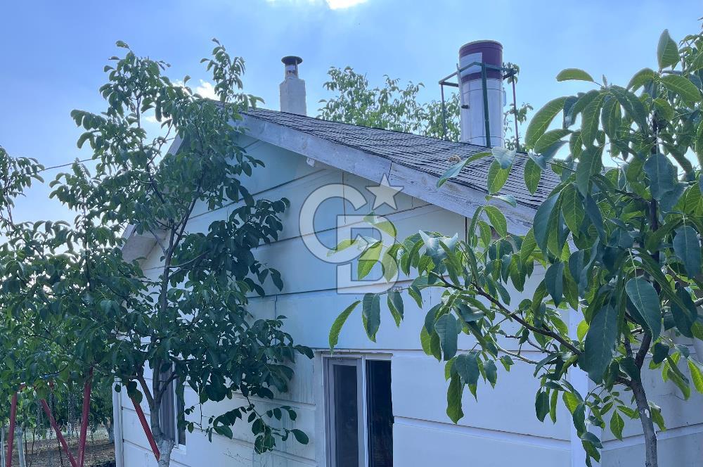 Pursaklar Yeşilyurt'ta 18.198 m2 Müstakil Tapulu Çiftlik