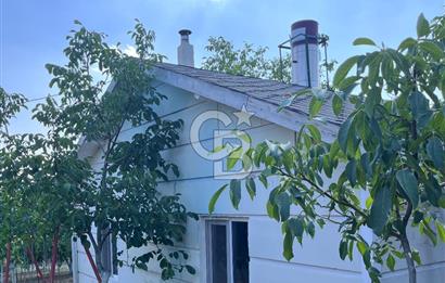 Pursaklar Yeşilyurt'ta 18.198 m2 Müstakil Tapulu Çiftlik
